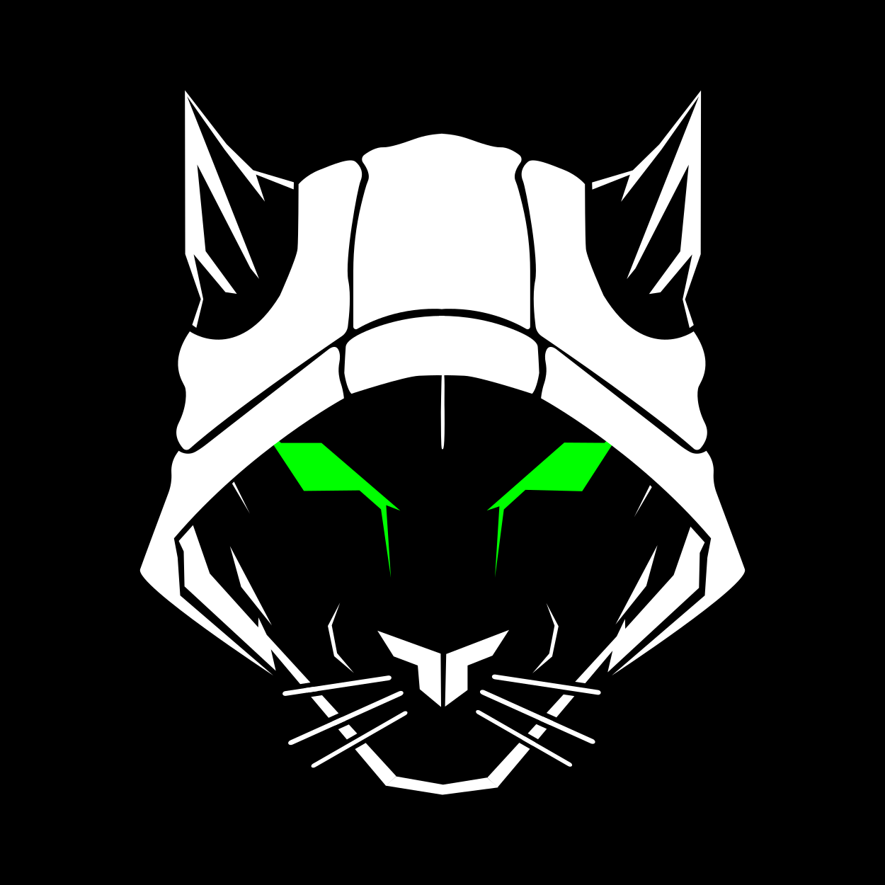 PumaHat Cybersecurity Team logo